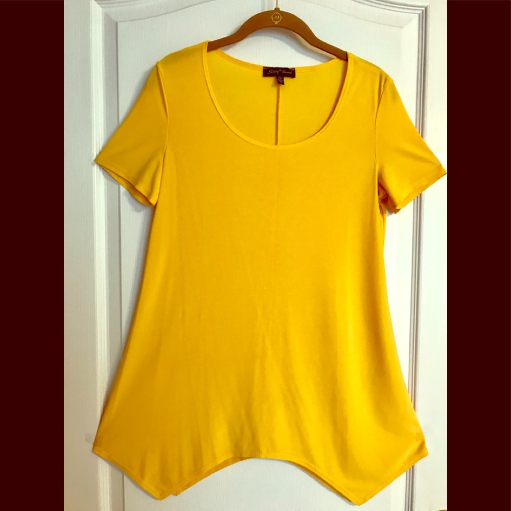 Slinky Brand top. Short sleeves and sharkbite hem.